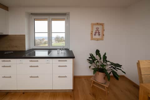 Top performing Airbnb: Schlossblick Vacation Rental in Steiermark