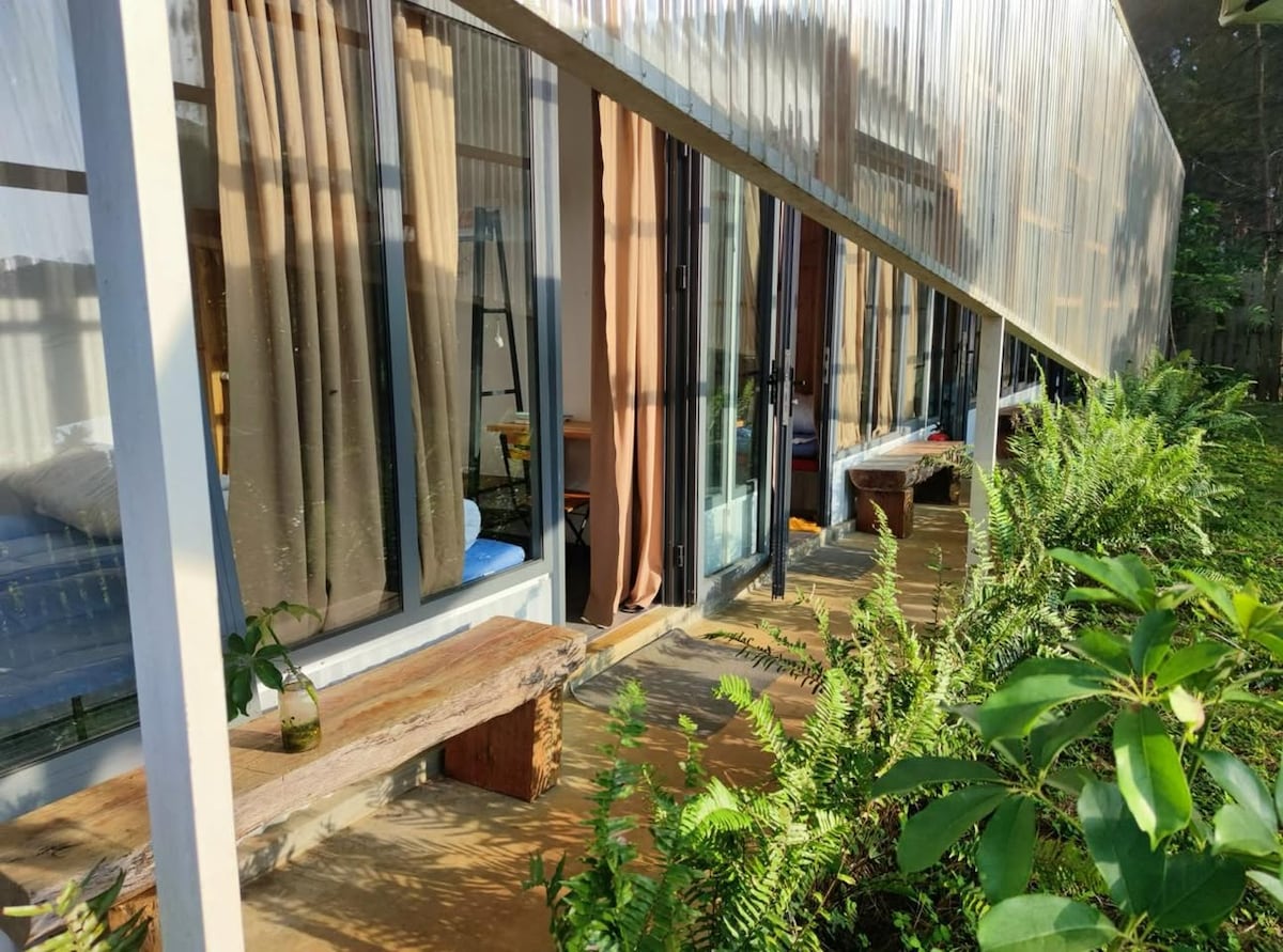 The image shows a modern accommodation with large glass windows, allowing natural light to fill the interior. A wooden bench is positioned in front, complemented by lush green plants. Sunlight casts soft shadows across the patio area, creating a serene outdoor setting.