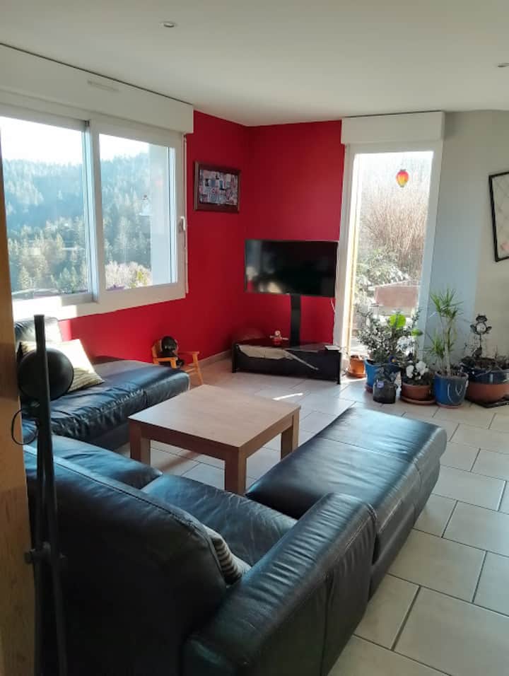 Maison Architecte Pleine Nature - Gérardmer