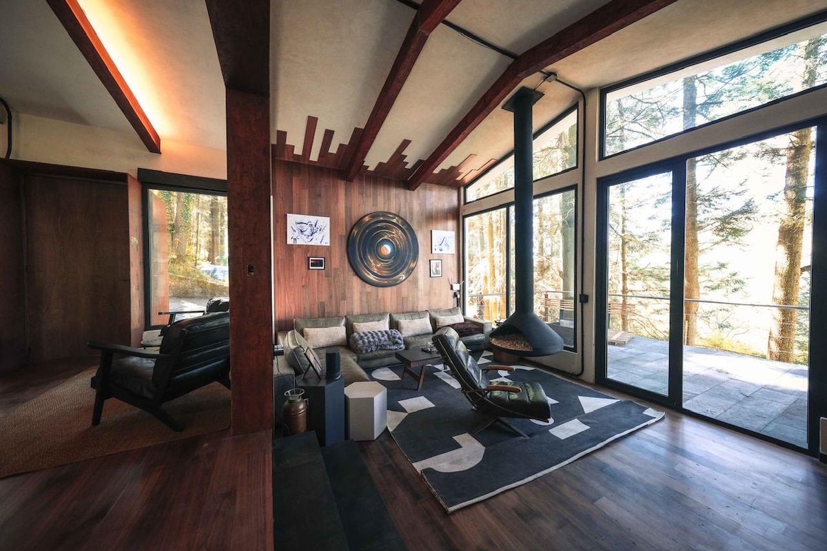 A living area features large glass windows offering views of the surrounding forest. A comfortable seating arrangement is displayed with a mix of cushions on a sectional sofa. Wooden accents on the walls and ceiling enhance the space, complemented by modern artwork.