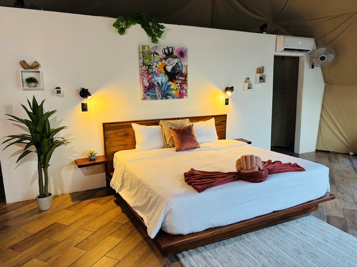 A spacious bed is centered against a white wall, with softly glowing bedside lights on either side. Green plants are placed nearby, enhancing the room's natural feel. A colorful piece of wall art adds vibrancy, while a woven rug complements the wooden flooring.