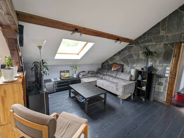 Appartement Cocoon (1 Ch.) Et Vue Alpine - Passy