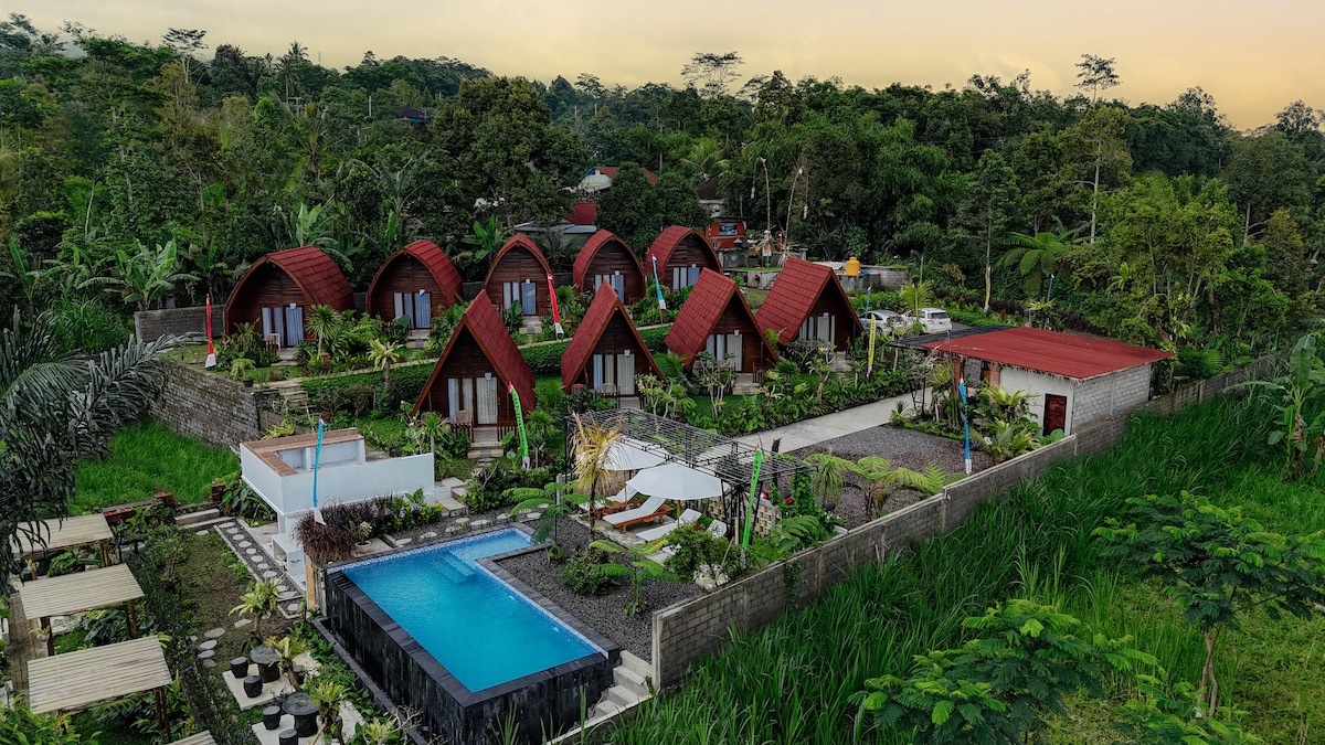 An aerial view showcases a collection of cozy wooden cabins with red roofs, nestled amid lush greenery. A shared swimming pool is located nearby, surrounded by tropical foliage. Pathways and outdoor seating areas create inviting spaces for guests, blending naturally with the serene landscape.
