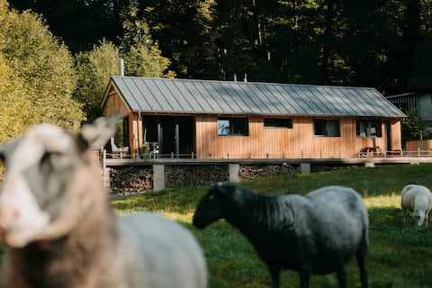 Jizera Cottages - Modřínek