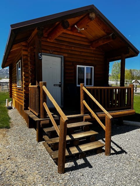 Almo Inn Cabin 5 - Durango