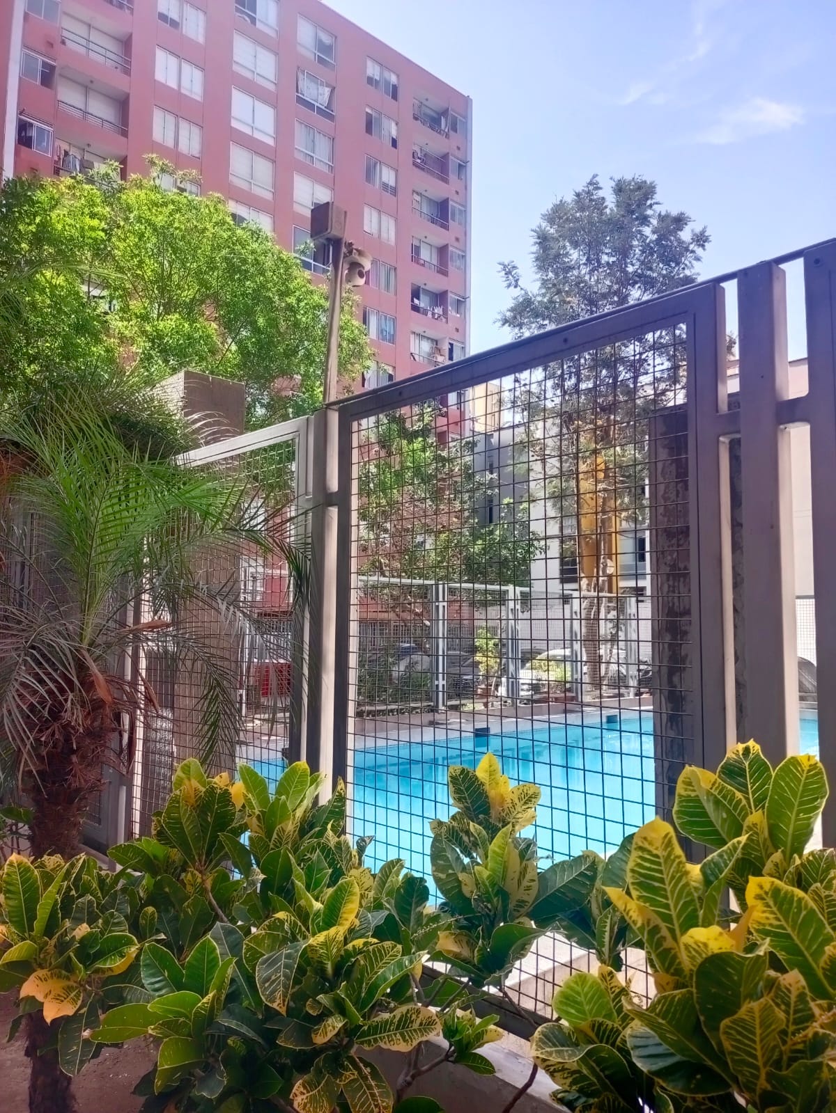 A view of the outdoor area features lush green plants in the foreground, while a clear blue pool is visible behind a gated fence. The surrounding buildings are partially seen, adding context to the setting.