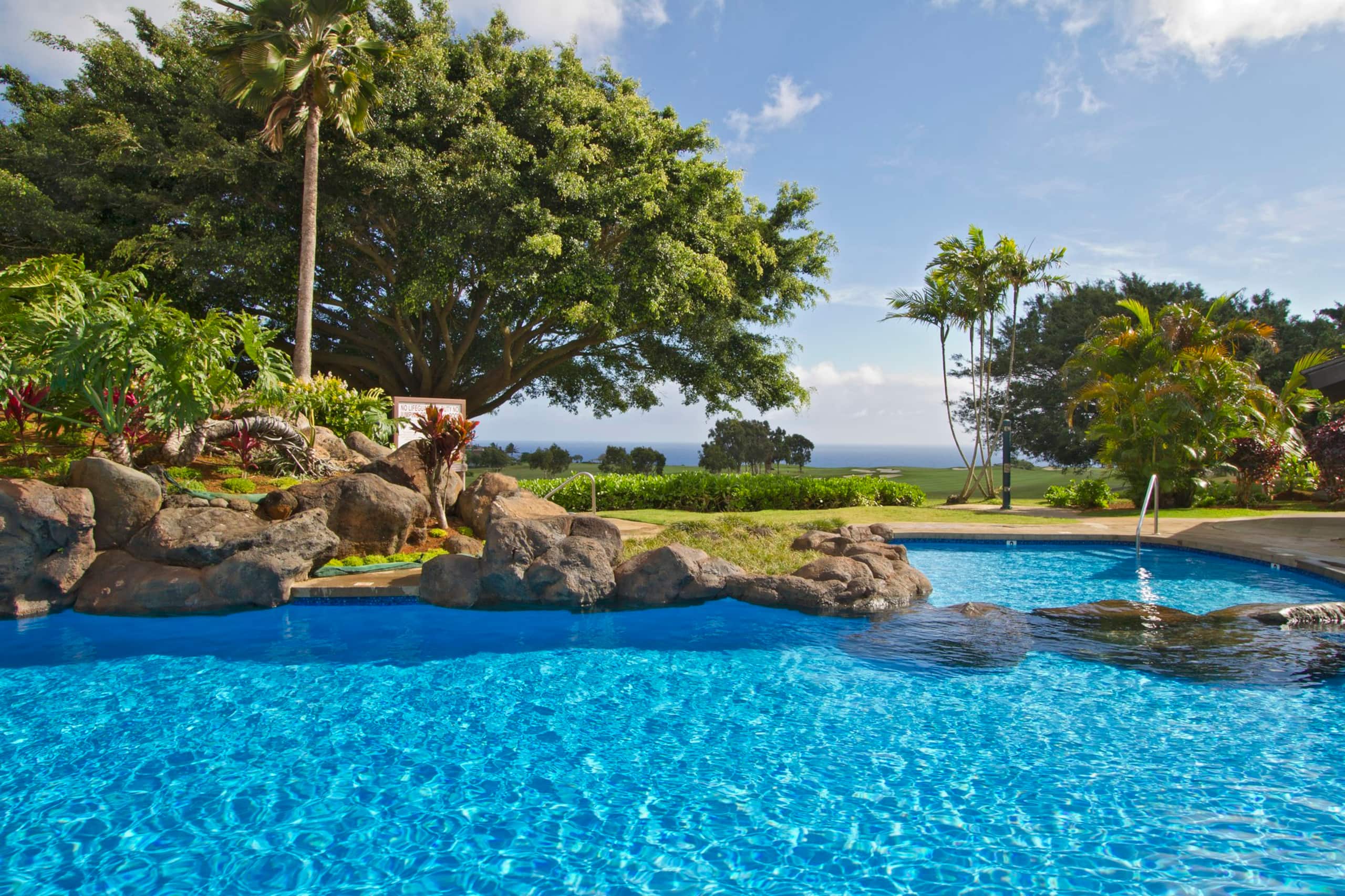 Tropical Oasis @ Ka Eo Kai 1BR/1BA w/resort access - Photo 34
