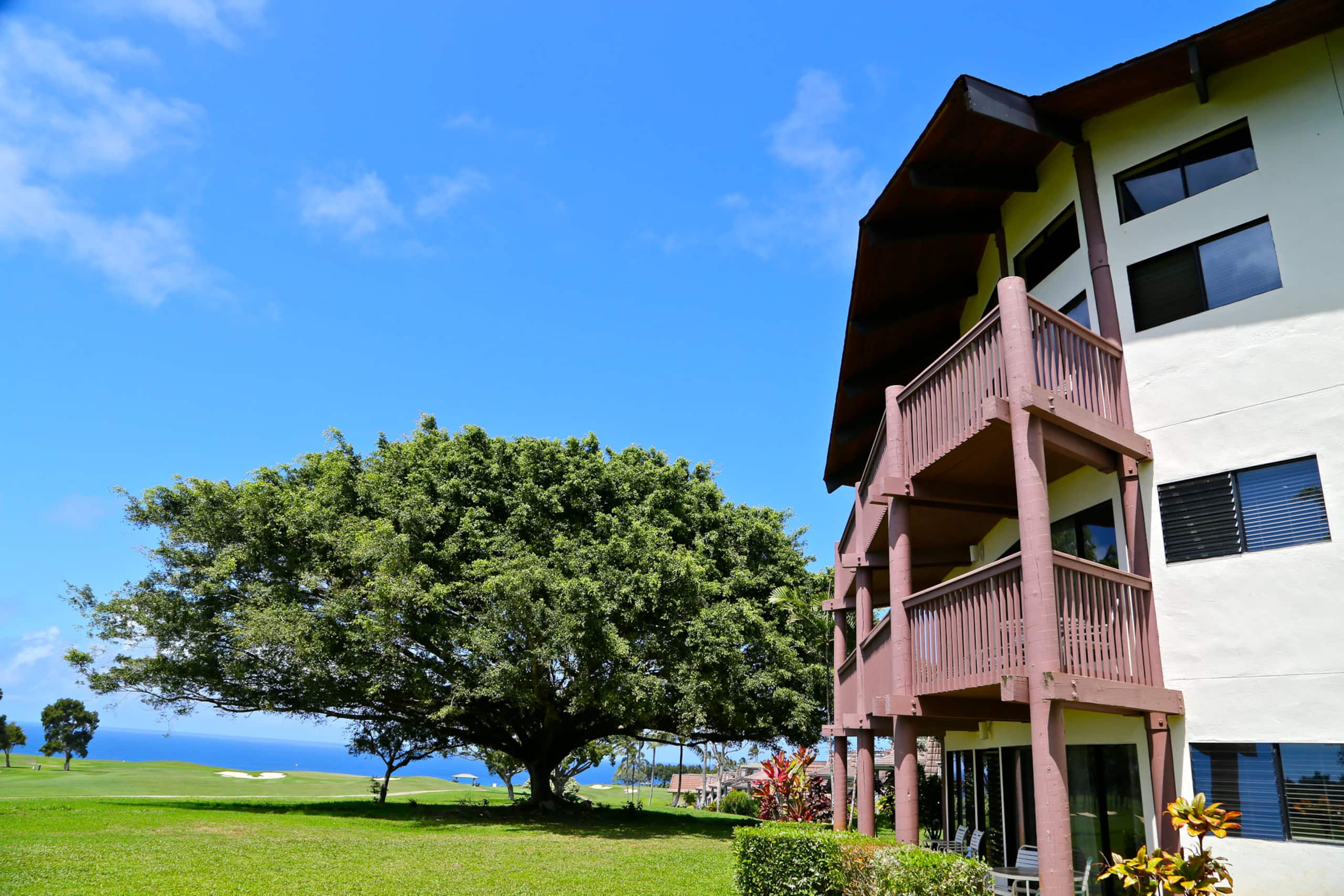 Tropical Oasis @ Ka Eo Kai 1BR/1BA w/resort access - Photo 19
