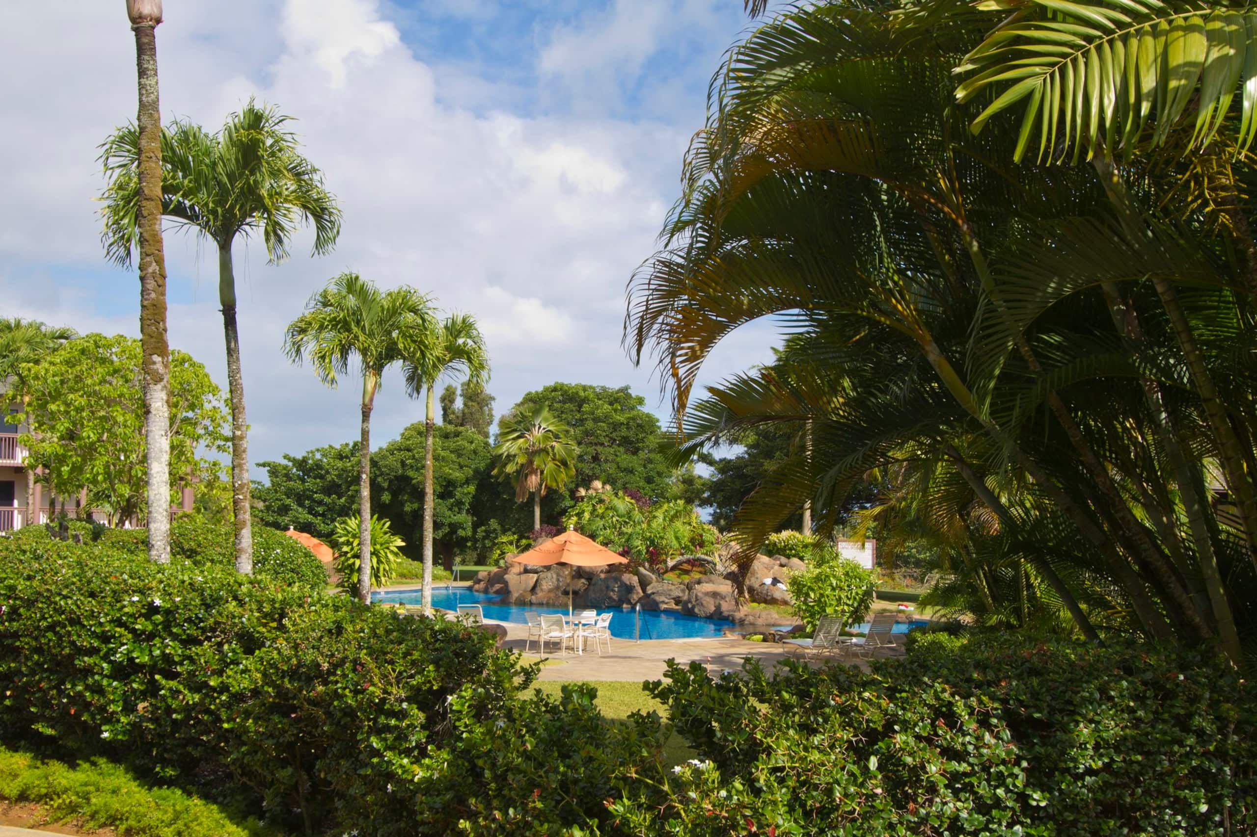 Tropical Oasis @ Ka Eo Kai 1BR/1BA w/resort access - Photo 36