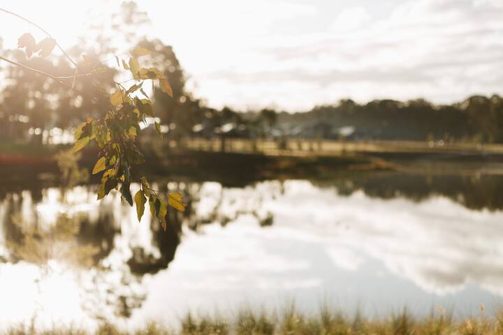 Blue Haven Retreat – Jordan Springs gallery image 5