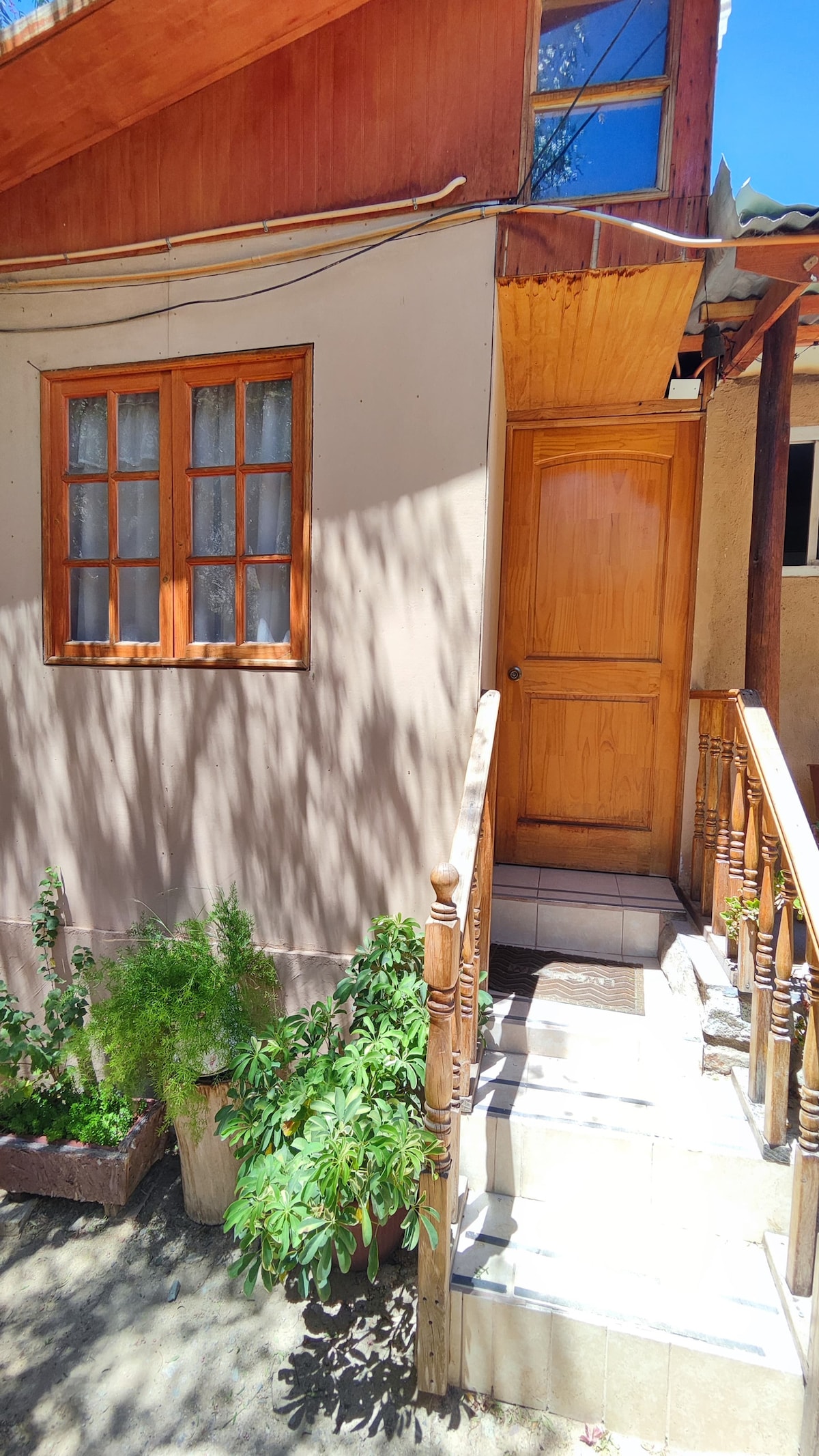 An entrance pathway leads to a wooden door, framed by a bright exterior wall and prominent window. Lush green plants are positioned alongside the steps, while dappled sunlight creates a soft pattern on the ground.