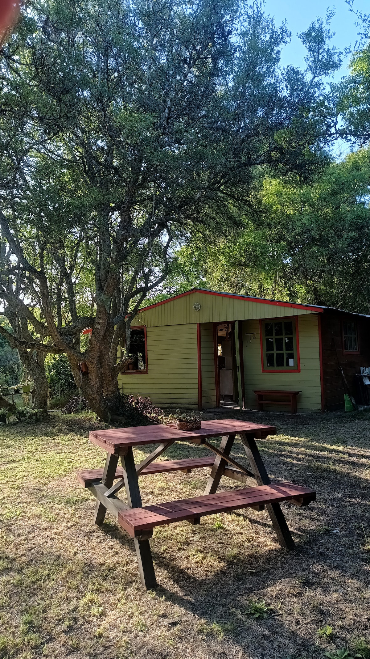 A charming cabin is nestled among trees, featuring a red-accented exterior. A wooden picnic table sits in the foreground, surrounded by grass. The entrance to the cabin is framed by greenery, creating a tranquil outdoor setting.