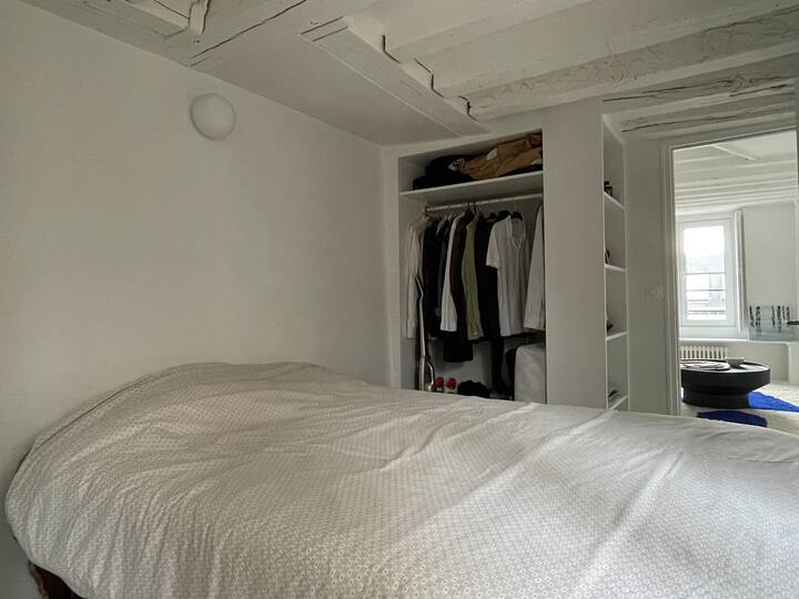 Marais - Bright apartment in the heart of Paris.