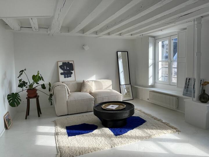 Marais - Bright apartment in the heart of Paris.