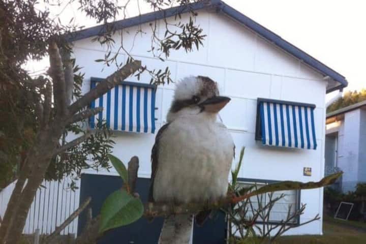 Finns beach house, pet friendly. Wooli NSW