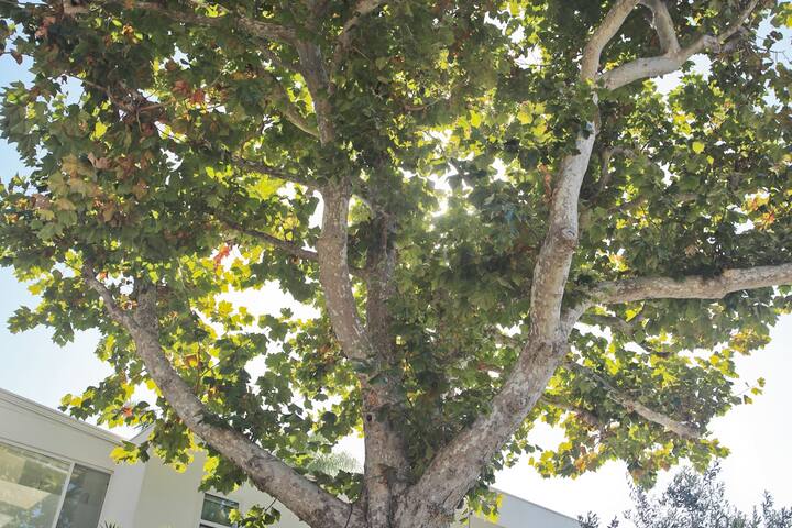 Clean, private home – Best Beach in the BU! gallery image 4