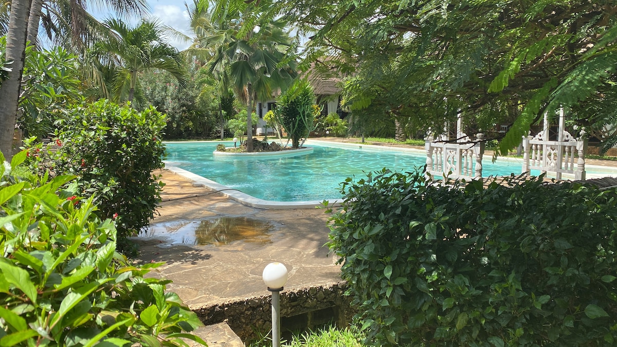 A serene outdoor area is highlighted by a large swimming pool surrounded by lush greenery and palm trees. The pool is complemented by a tranquil fountain at its center, and well-maintained flower beds border the scene, creating a peaceful environment.