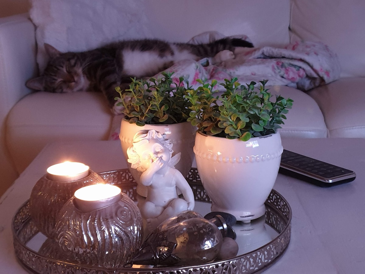 Simba at visitHOMES – The little corner single room in Leirvík