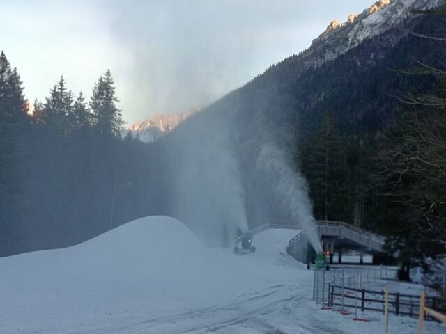 jwsc 2025 gallery image 4