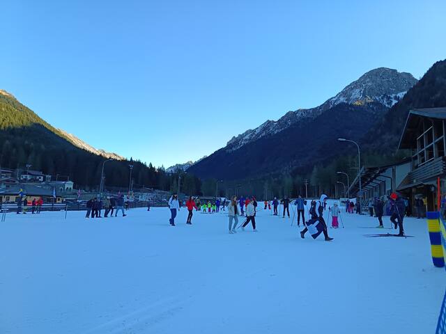 jwsc 2025 gallery image 5