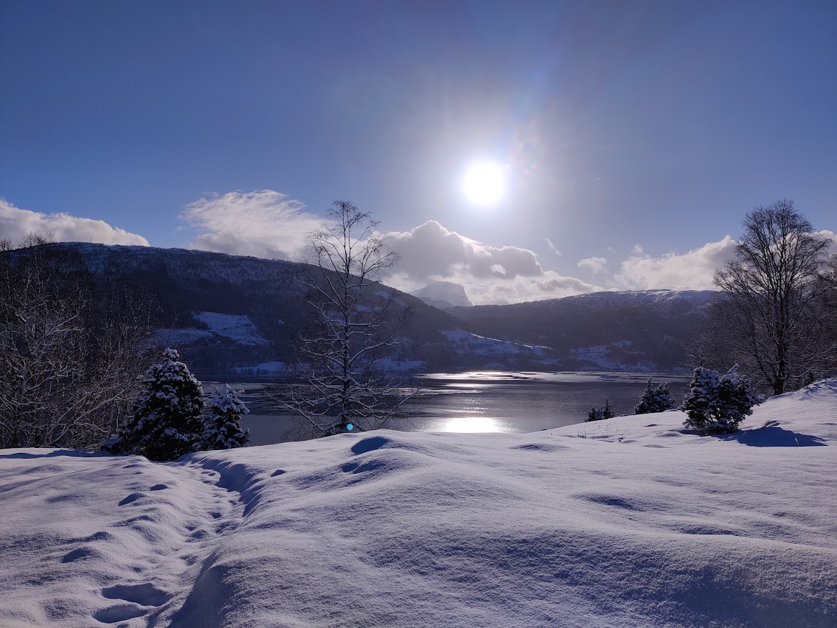 A serene winter landscape features a snow-covered terrain, illuminated by bright sunlight. The sun reflects off a calm body of water, with snow-draped mountains visible in the background. Scattered trees create a peaceful scene against the clear blue sky.
