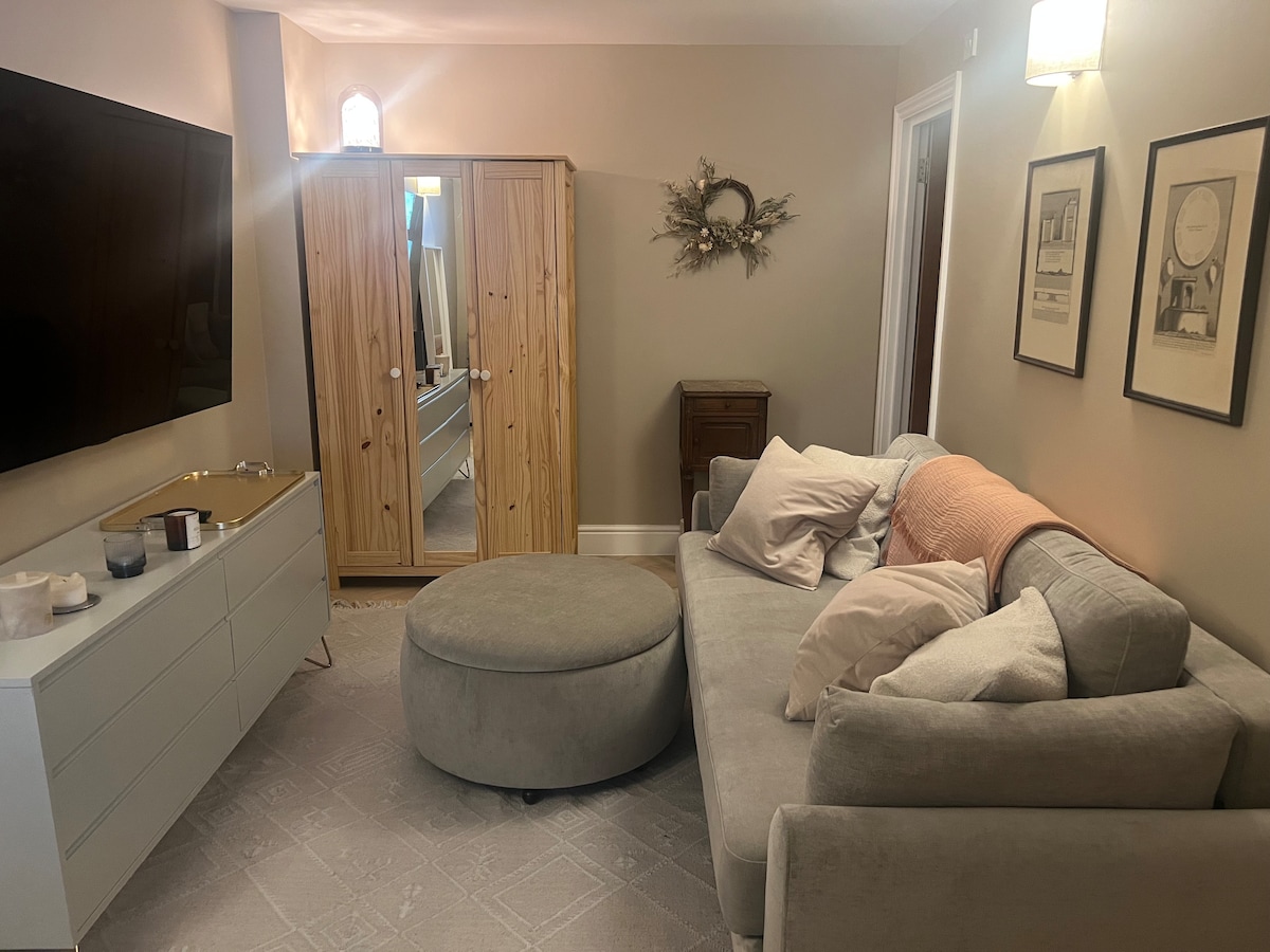 ห้องนอนพร้อมเตียงโซฟาในโหมดโซฟา