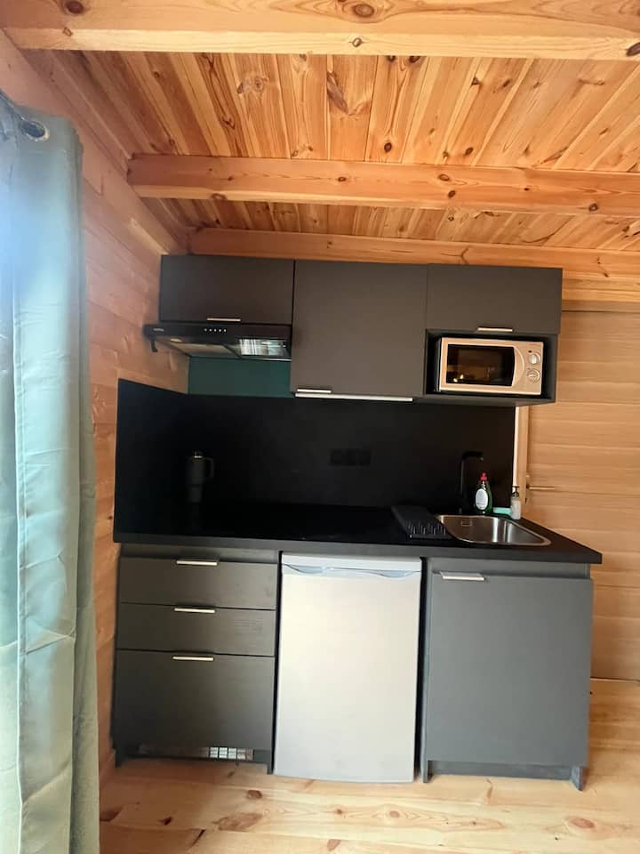 Studio En Bois Avec Piscine Privative - Balaruc-le-Vieux
