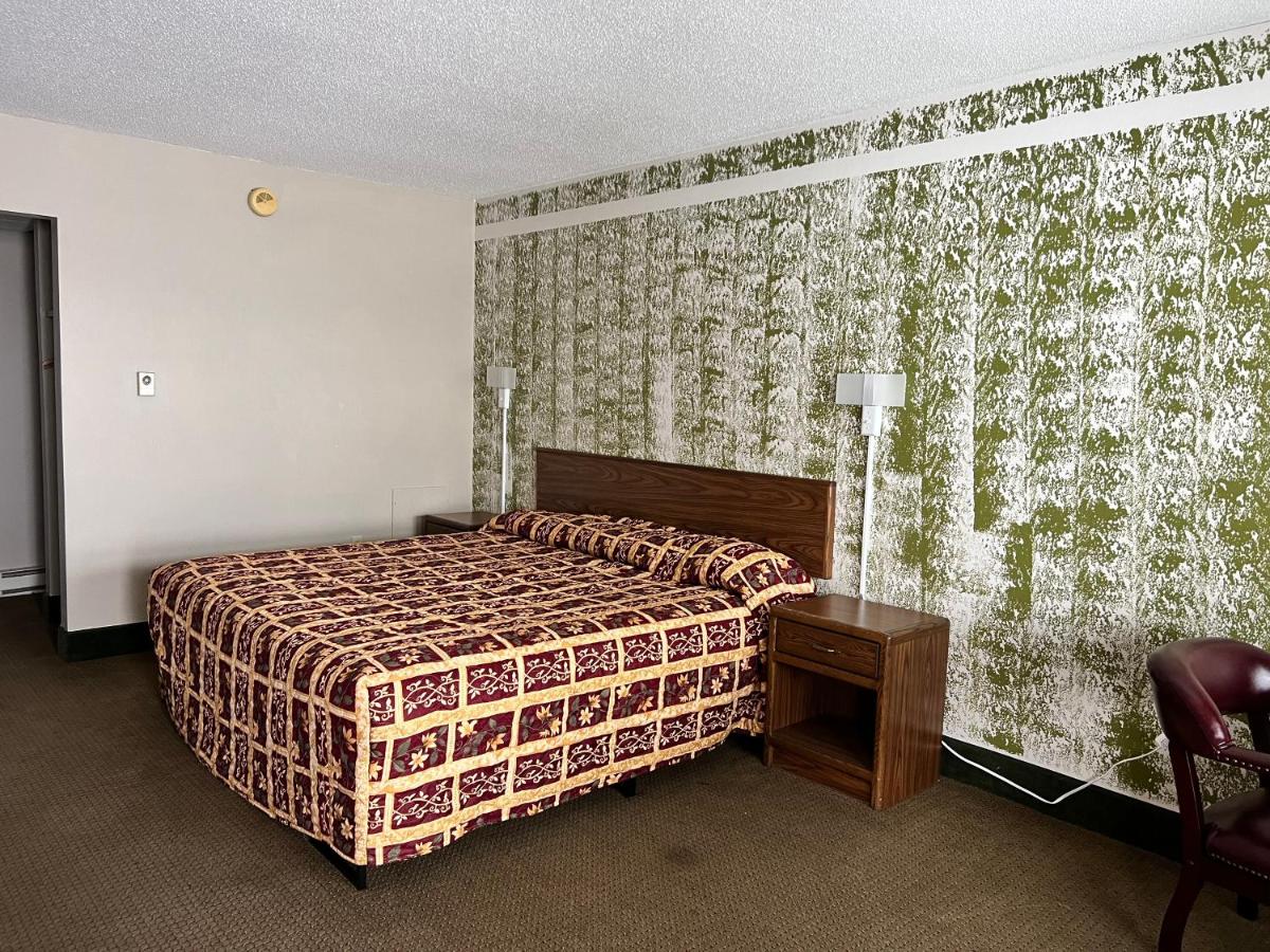 A clean, spacious guest room is highlighted by a patterned bedspread and matching headboard. The walls are adorned with a nature-inspired mural. Two bedside lamps provide illumination, and a wooden nightstand is positioned beside the bed. A chair is placed in the corner.