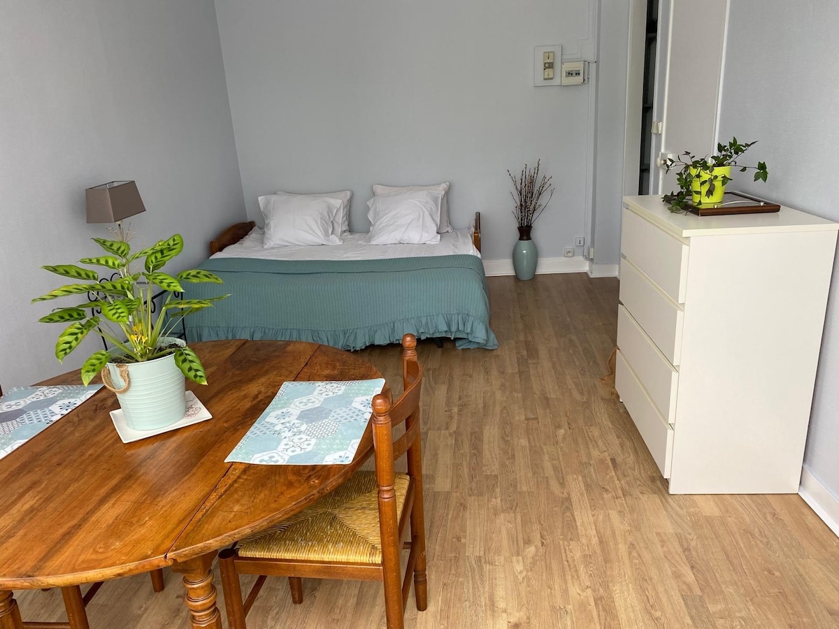 A simple room is presented with a light-colored wooden floor. A spacious daybed is dressed with a blue-green coverlet and white pillows. A round wooden table with four chairs occupies one corner, with a small potted plant and placemats adding a touch of decor. A white dresser is visible against the wall.