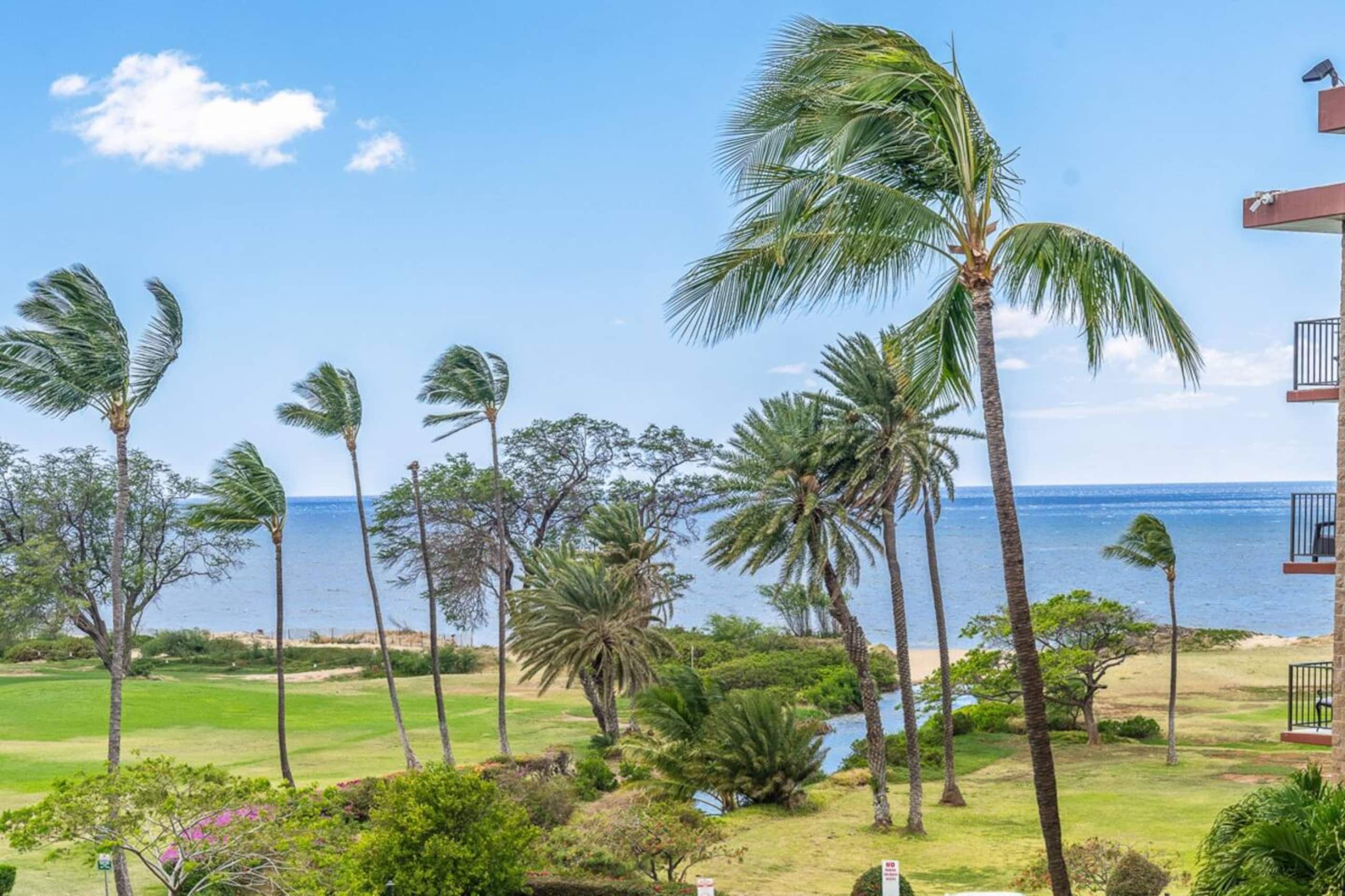 Kihei 525-OceanView, 5 min drive to stores/food - Image 19