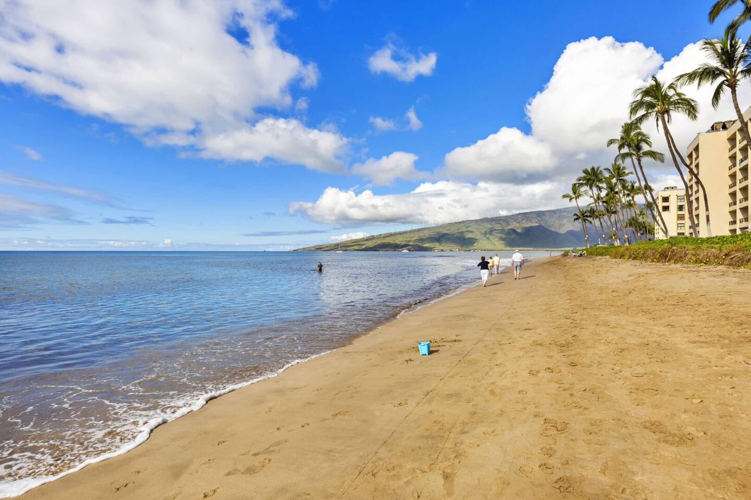 Kihei 525-OceanView, 5 min drive to stores/food - Image 23
