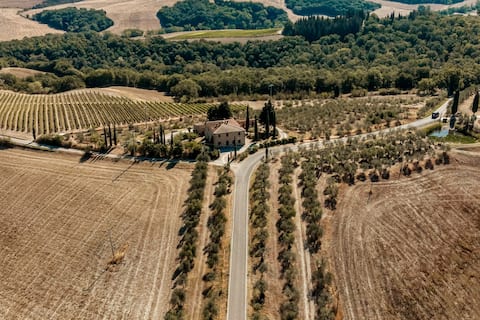 Celeste - The Color of the Summer Sky in Tuscany