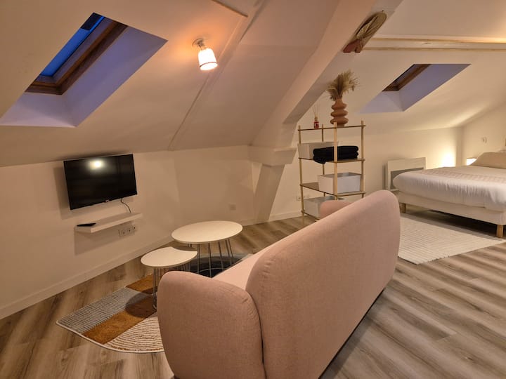 Appartement La Canopée De Vichy 35m² - 4 Min Gare - Vichy