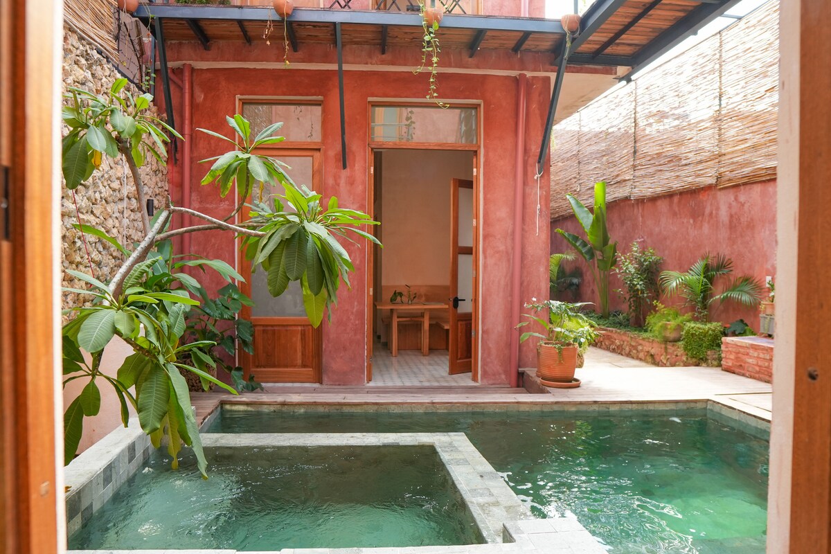 A refreshing pool is framed by lush greenery and vibrant plants, surrounded by textured pink walls. An open space leads to an inviting indoor area, providing an atmosphere conducive to relaxation and enjoyment.