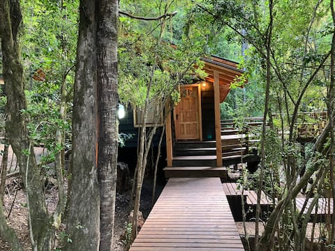 Experience the forest in the Huilo Huilo Biological Reserve