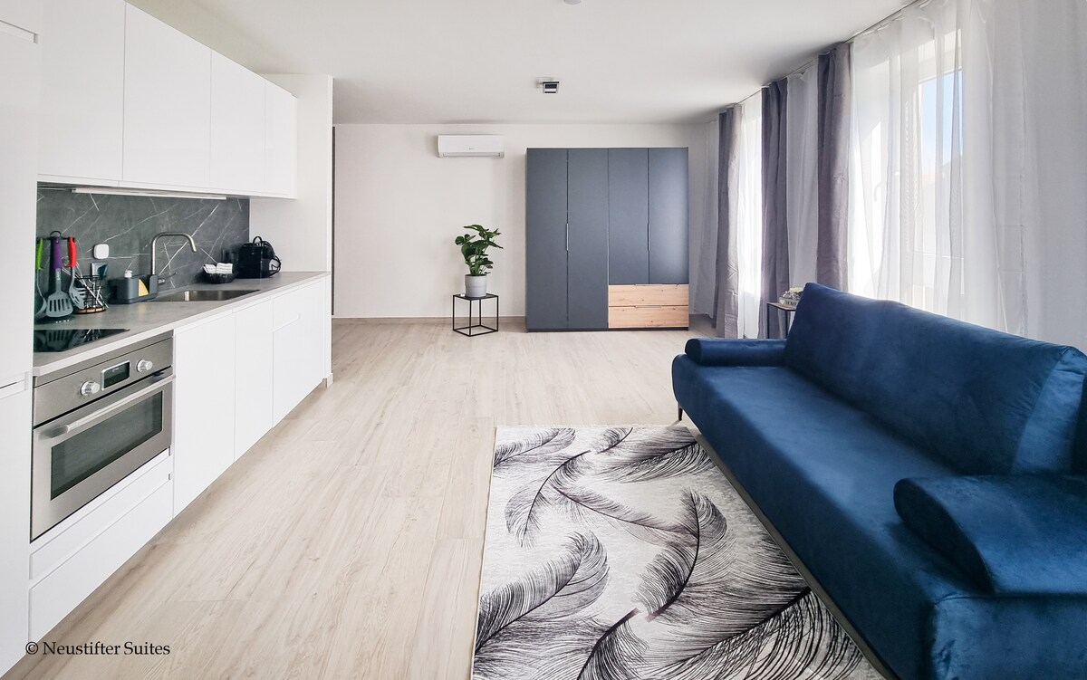 A modern living area features a spacious blue sofa, a patterned rug, and a sleek kitchen with stainless steel appliances. Natural light floods the space through large windows, illuminating light-colored flooring and a potted plant placed near a wardrobe.