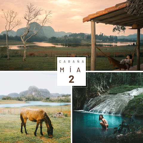 Nuit insolite: Cabaña Mía (2)