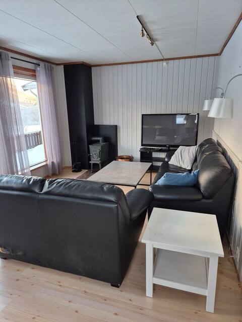 Top performing Airbnb: Apartment in Storlidalen in Oppdal