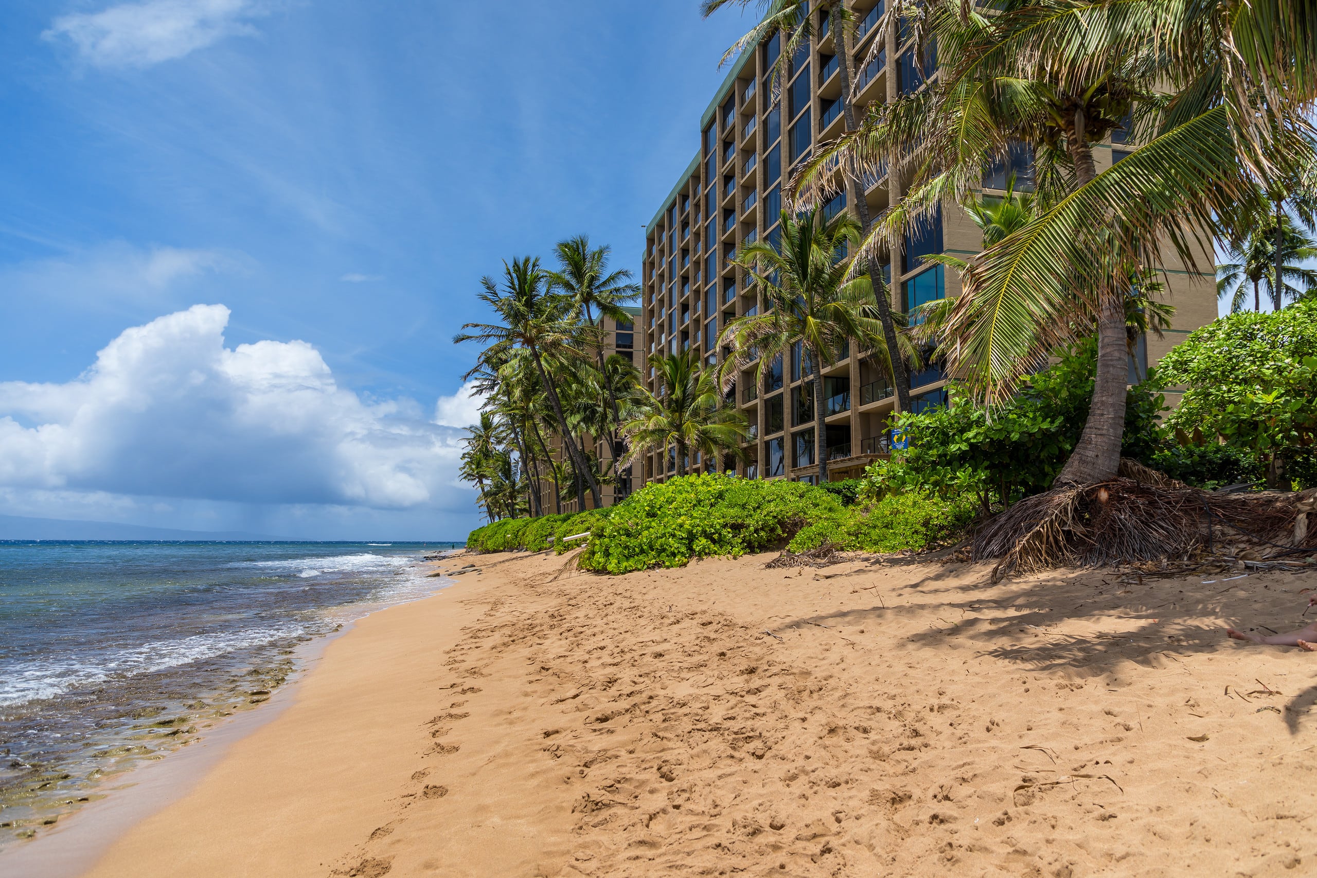 Condo in Lahaina · ★4.97 · Studio · 1 bed · 1 bath - Image 33