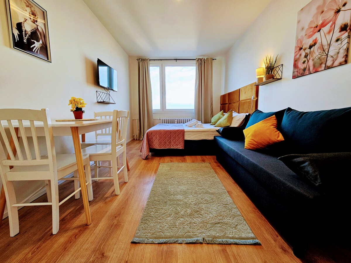 A well-furnished living space includes a spacious bed, a cozy sofa with pillows, and a dining area for two. Natural light fills the room through a large window, with soft curtains framing the view. A rug adds warmth to the wooden floor.