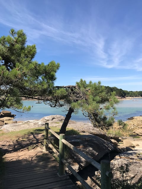 Successful Airbnb property: Large cottage 400 m from the beach with swimming pool in Trégunc