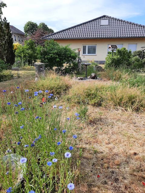 Gottesbrück vacation home