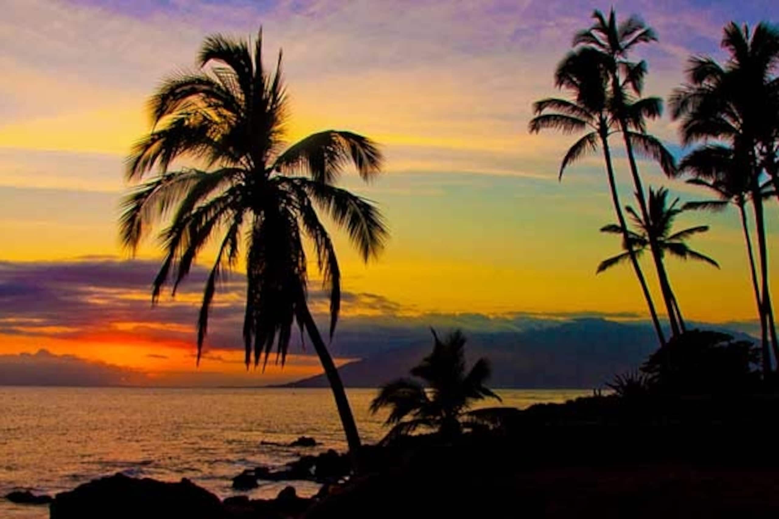 Condo in Kihei · ★4.9 · 2 bedrooms · 2 beds · 2 private baths - Image 27