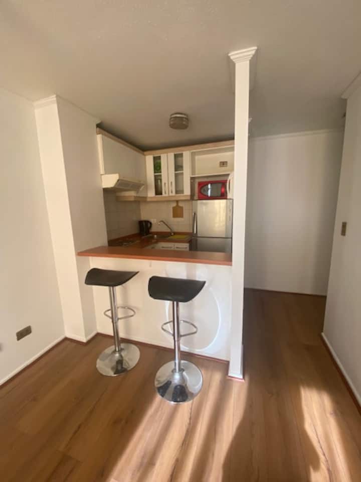 Centrico Departamento - Santiago (Chile)