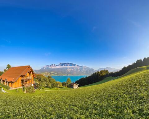 Ferienwohnung Attersee 2-3 P. am Attersee