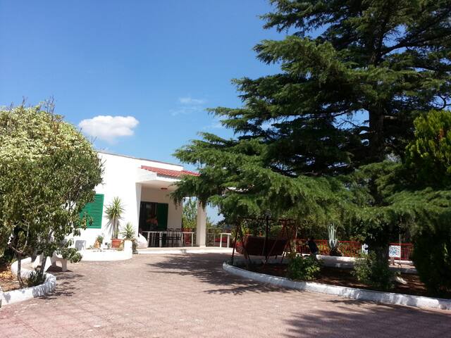 Casa Vacanza Oasi Villa Anthea gallery image 3