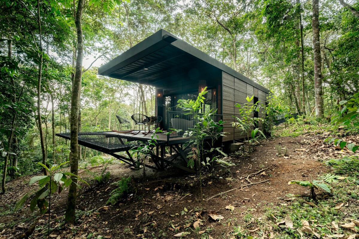 A modern cabin is situated amidst lush greenery, with large windows facing the forest. An outdoor deck is furnished with chairs, inviting relaxation. The surrounding area features dense foliage, contributing to a serene and natural atmosphere.