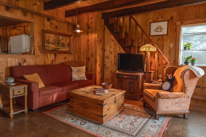 Magical Storybook Cabin Hidden Rooms + Knotty Pine - Lake Arrowhead, CA