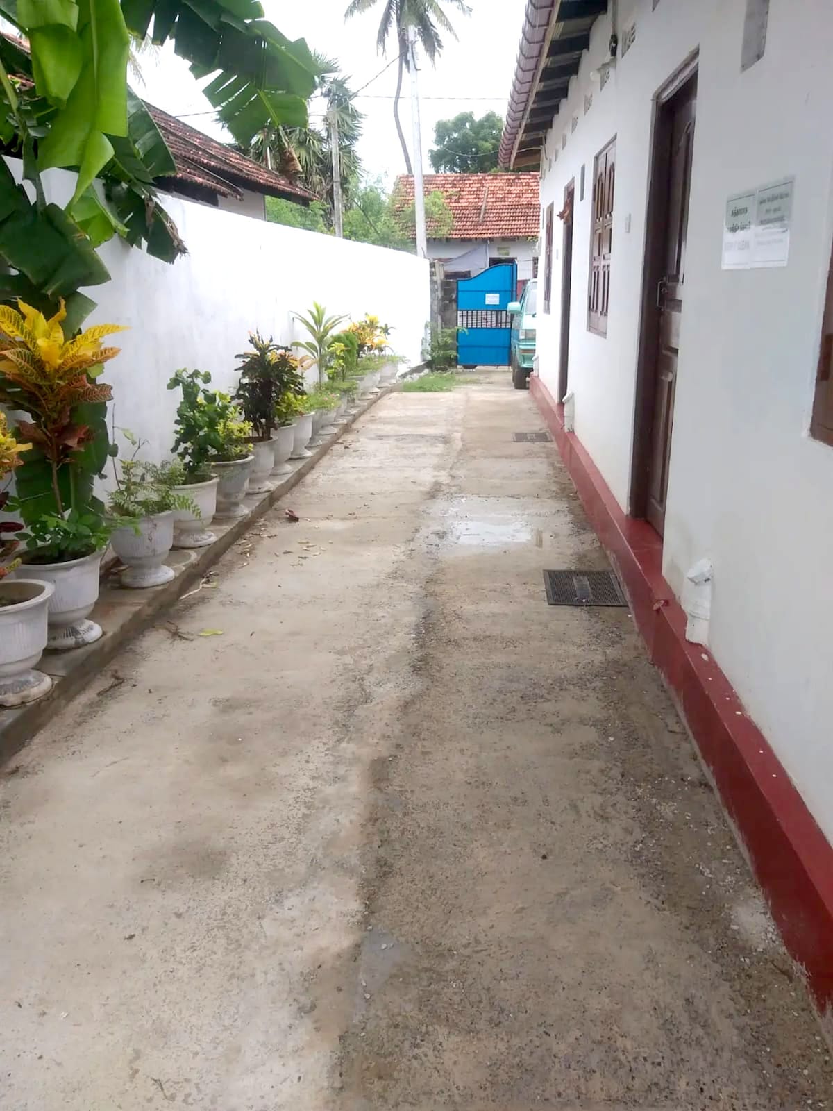 A narrow pathway lined with potted plants provides access to the buildings. The surface is textured and appears well-maintained, with a modest wall on one side and a white-painted building on the other. Green foliage from nearby trees offers a natural touch.