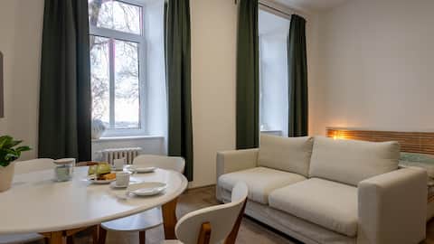 City in the historic center of Brno